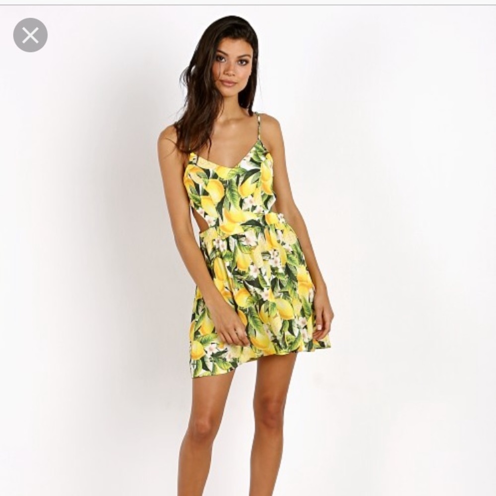 Show Me Your MuMu Piper Dress